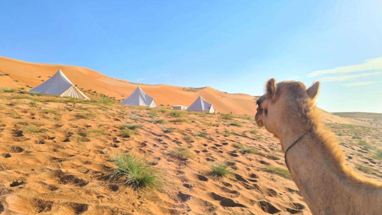 Desert Moments Glamping - Full Privacy Badīyah 外观 照片